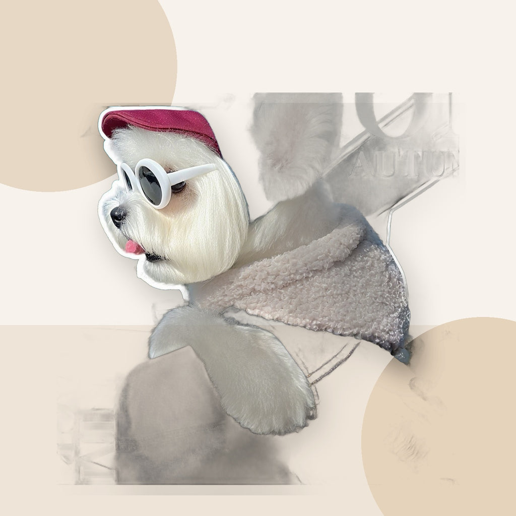 Denim Dog & Cat Jacket for Small Pets minimal lifestyle product image by Kivora Pets