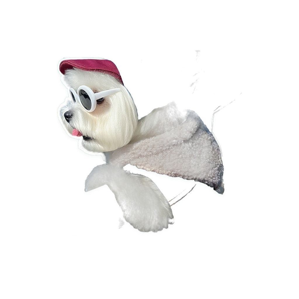 Denim Dog & Cat Jacket for Small Pets clean white-background product image by Kivora Pets