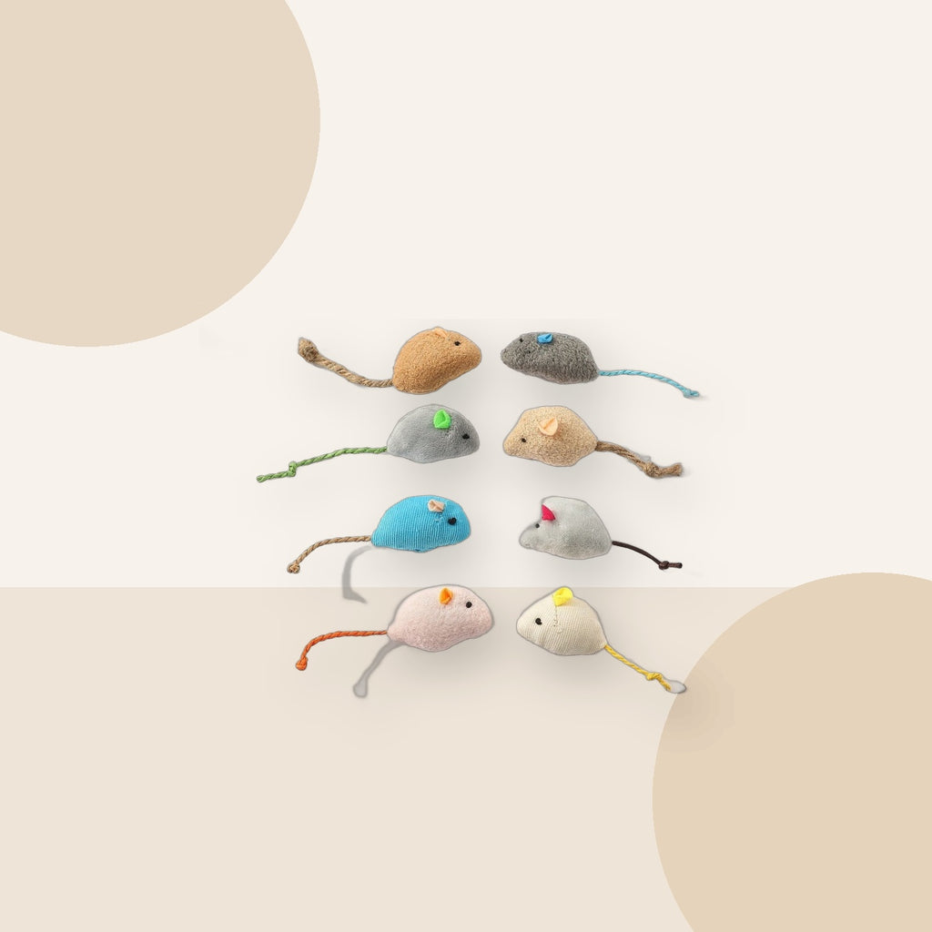 Feather Mouse Cat Toys for Indoor Play minimal lifestyle product image by Kivora Pets