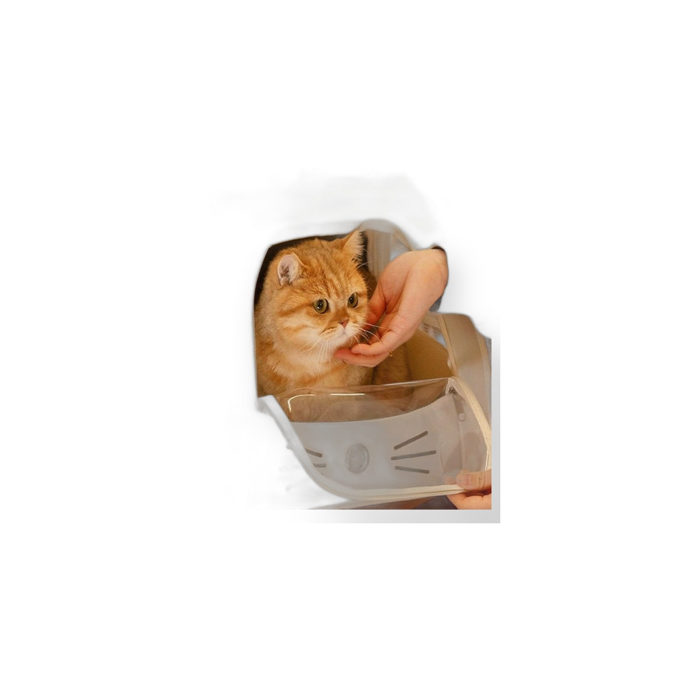 Foldable Cat & Small Dog Backpack Carrier product on pure white background by Kivora Pets