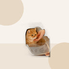 Foldable Cat & Small Dog Backpack Carrier minimal lifestyle product image by Kivora Pets
