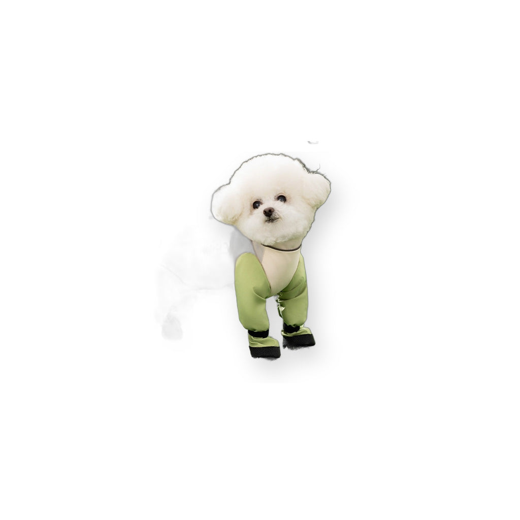 Lightweight Dog Outdoor Suit for Rain & Dust product on pure white background by Kivora Pets