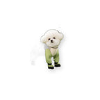 Lightweight Dog Outdoor Suit for Rain & Dust product on pure white background by Kivora Pets