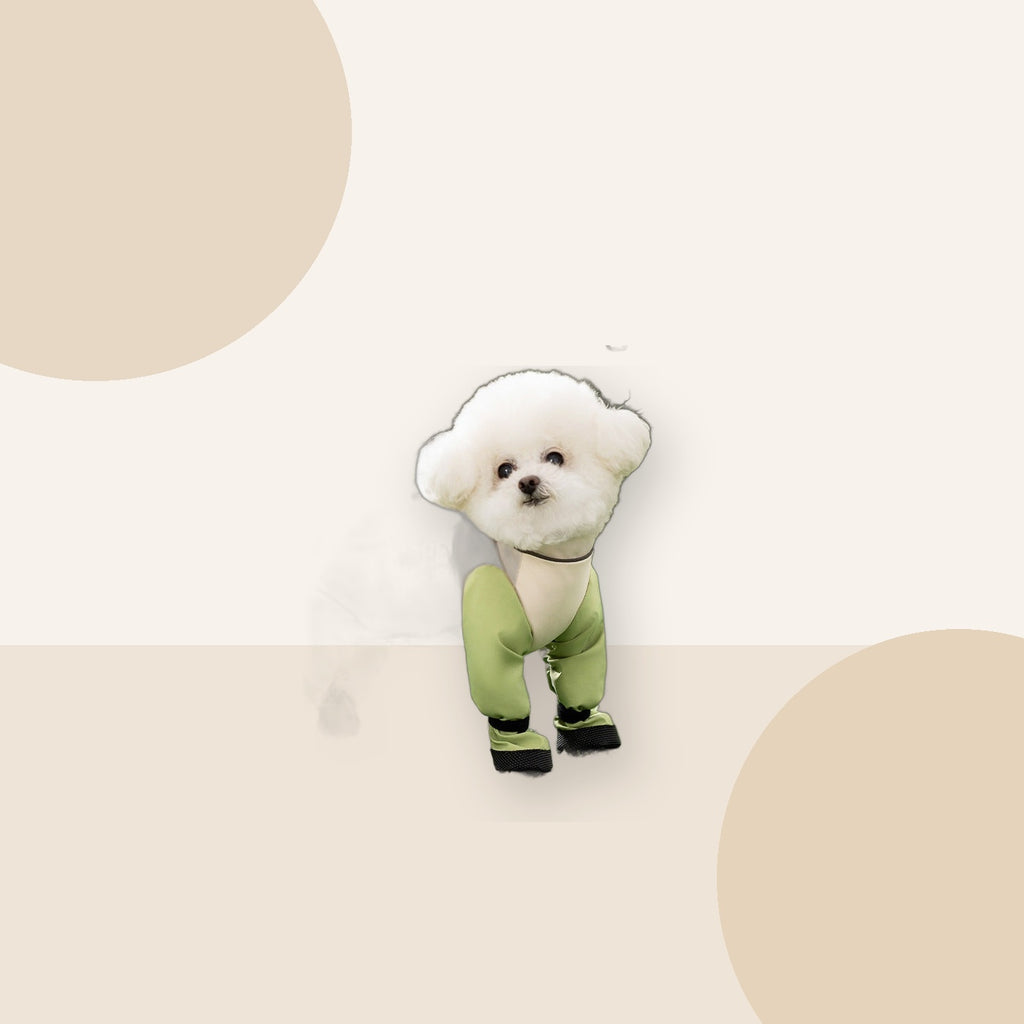 Lightweight Dog Outdoor Suit for Rain & Dust minimal lifestyle product image by Kivora Pets