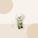 Lightweight Dog Outdoor Suit for Rain & Dust minimal lifestyle product image by Kivora Pets